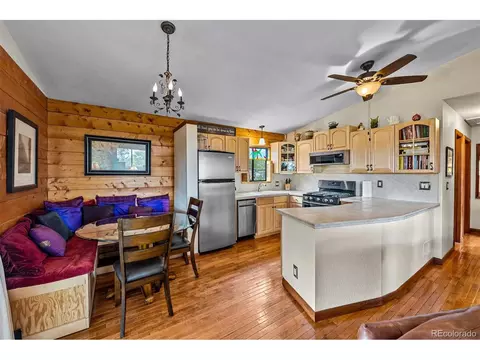 389 S Pine Dr, Bailey, CO 80421 photo 10