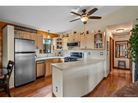389 S Pine Dr, Bailey, CO 80421 photo 12