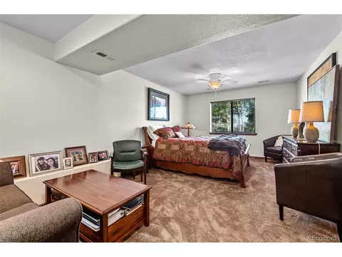 389 S Pine Dr, Bailey, CO 80421 photo 28