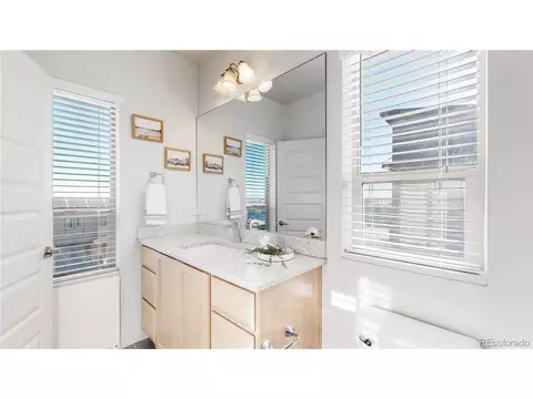 9022 E 50th Dr, Denver, CO 80238 photo 16