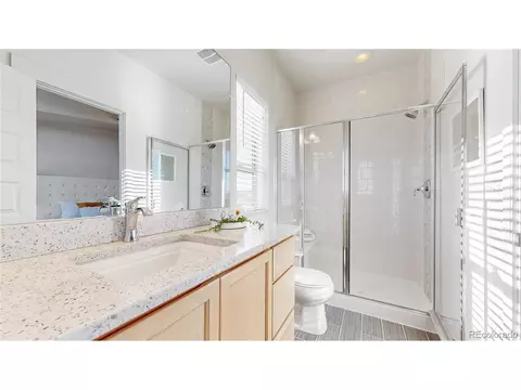9022 E 50th Dr, Denver, CO 80238 photo 17