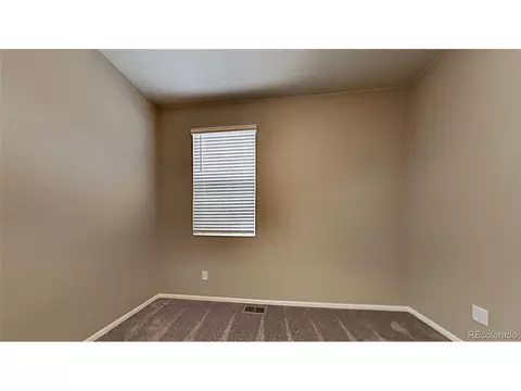 1780 Summer Bloom Dr, Windsor, CO 80550 photo 16