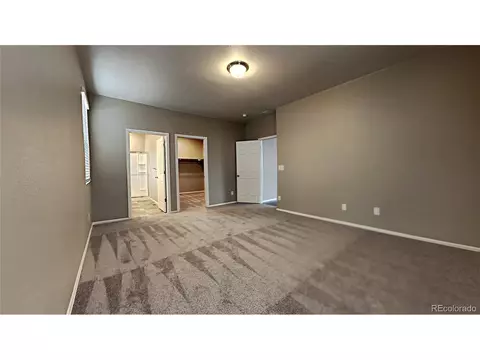 1780 Summer Bloom Dr, Windsor, CO 80550 photo 10