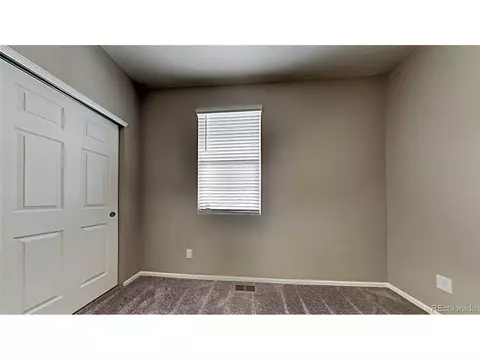 1780 Summer Bloom Dr, Windsor, CO 80550 photo 13