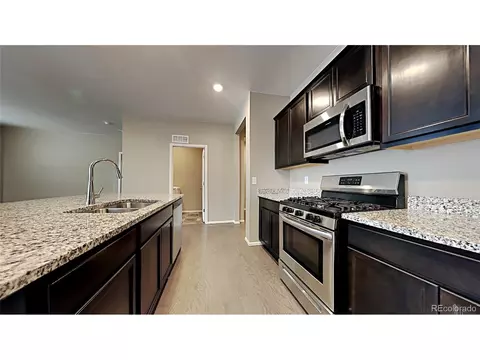 1780 Summer Bloom Dr, Windsor, CO 80550 photo 6