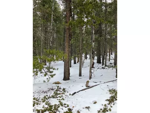 120 Timber Rd, Black Hawk, CO 80422 photo 4