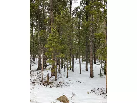 120 Timber Rd, Black Hawk, CO 80422 photo 2