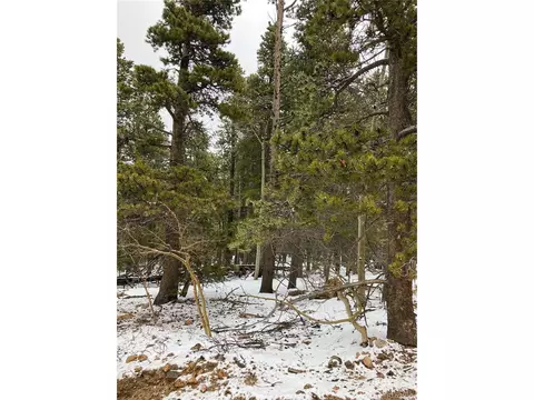 120 Timber Rd, Black Hawk, CO 80422 photo 3