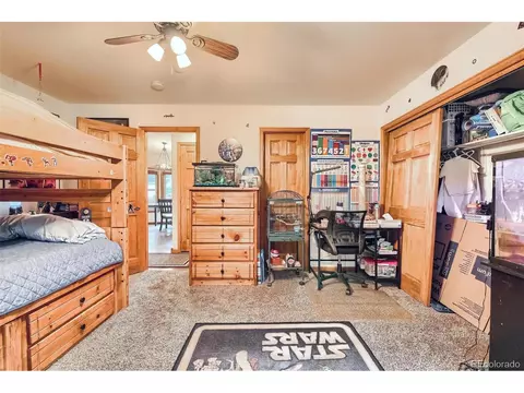 356 Bailey Dr, Bailey, CO 80421 photo 18