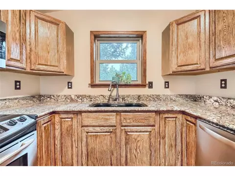 356 Bailey Dr, Bailey, CO 80421 photo 13