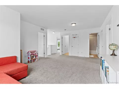 601 Morrison Dr, Frederick, CO 80530 photo 19