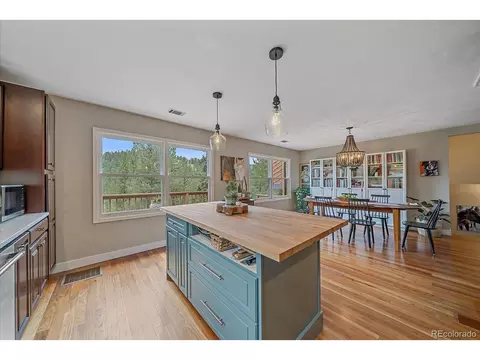 3645 Nova Rd, Pine, CO 80470 photo 15