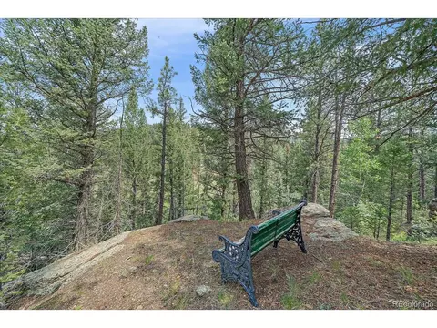 3645 Nova Rd, Pine, CO 80470 photo 39