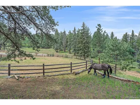 3645 Nova Rd, Pine, CO 80470 photo 36
