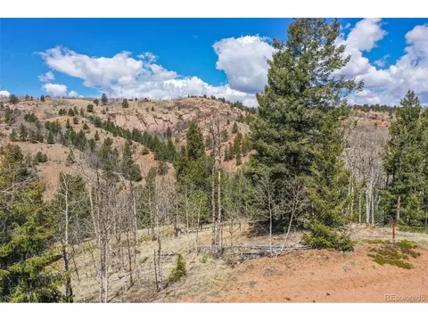 796 Little Topsey Dr, Cripple Creek, CO 80813