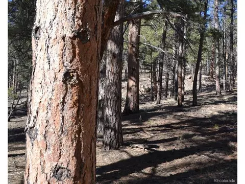 Undisclosed, Lake George, CO 80827