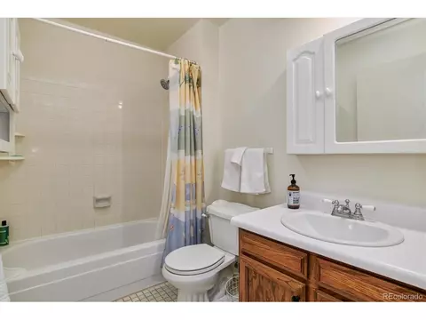 1151 E Jamison Ave, Centennial, CO 80122 photo 22