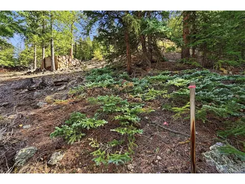 2238 Stanley Rd, Idaho Springs, CO 80452
