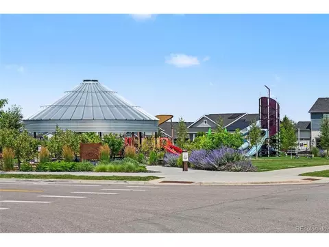 Other - 1656 Flourish Dr, Windsor, CO 80550 photo 6 of 9