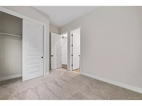 Bedroom - 1656 Flourish Dr, Windsor, CO 80550 photo 7 of 7