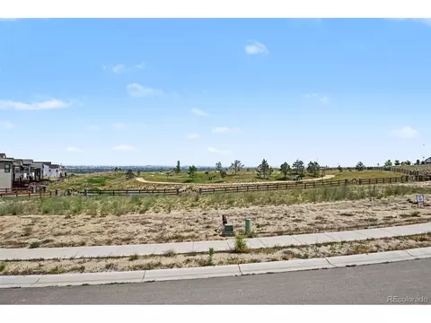 Other - 1656 Flourish Dr, Windsor, CO 80550 photo 7 of 9