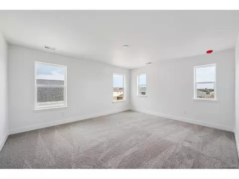 7036 E 126th Pl, Thornton, CO 80602 photo 15