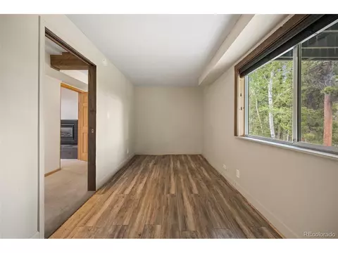 9690 S Warhawk Rd, Conifer, CO 80433 photo 32