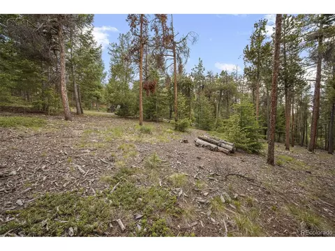 9690 S Warhawk Rd, Conifer, CO 80433 photo 24