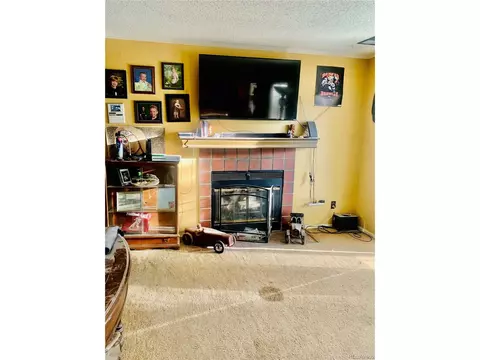 12517 Eudora St, Thornton, CO 80241 photo 4