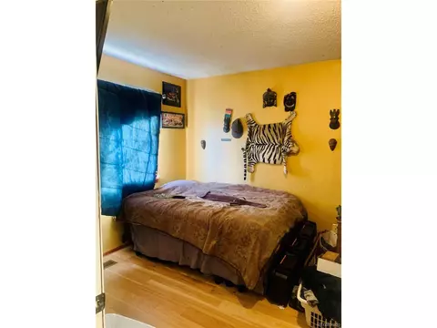 12517 Eudora St, Thornton, CO 80241 photo 9