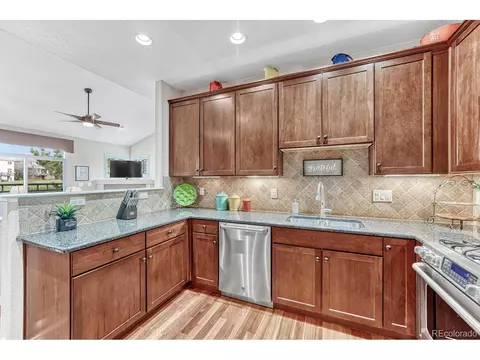 22155 Euclid Dr, Aurora, CO 80016 photo 10