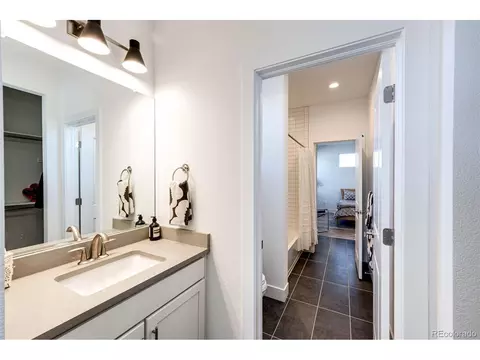 439 Rogers Way, Castle Rock, CO 80104 photo 32