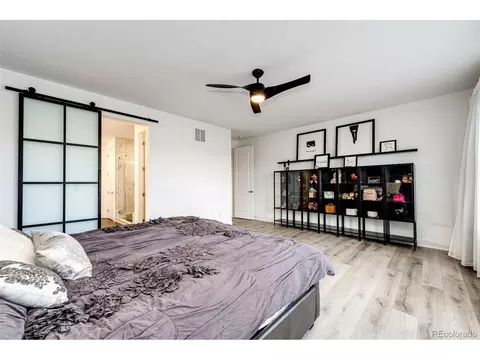 439 Rogers Way, Castle Rock, CO 80104 photo 39