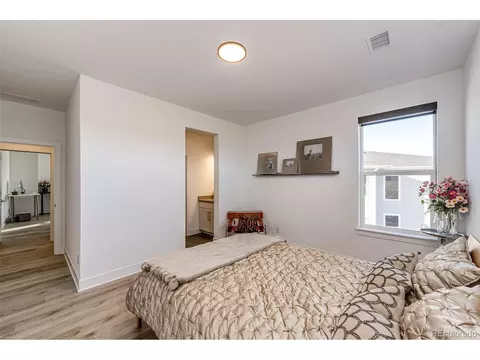 439 Rogers Way, Castle Rock, CO 80104 photo 29