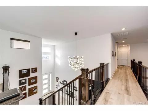 439 Rogers Way, Castle Rock, CO 80104 photo 23