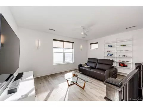 439 Rogers Way, Castle Rock, CO 80104 photo 37