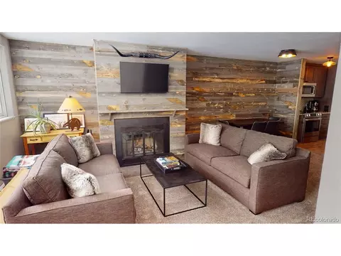 Undisclosed, Vail, CO 81657 photo 10