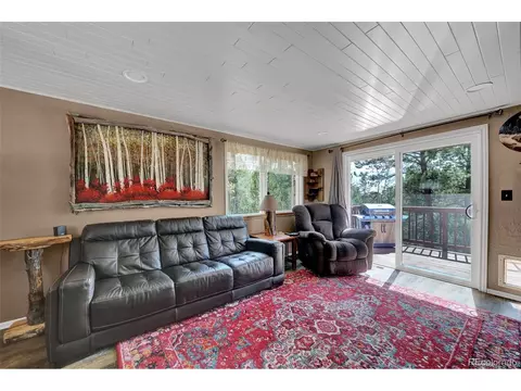 15 Rainbow Ln, Divide, CO 80814 photo 2