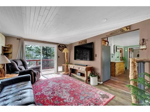 15 Rainbow Ln, Divide, CO 80814 photo 8