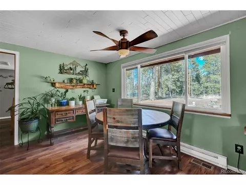 15 Rainbow Ln, Divide, CO 80814 photo 10