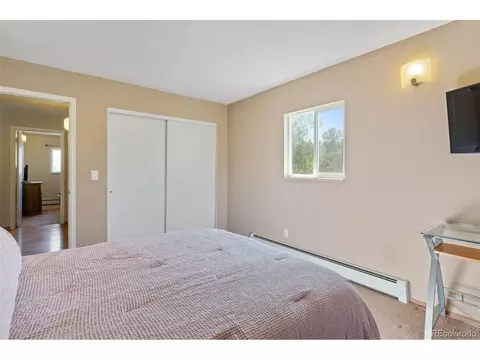 54 Beaver Ct, Dillon, CO 80435 photo 20
