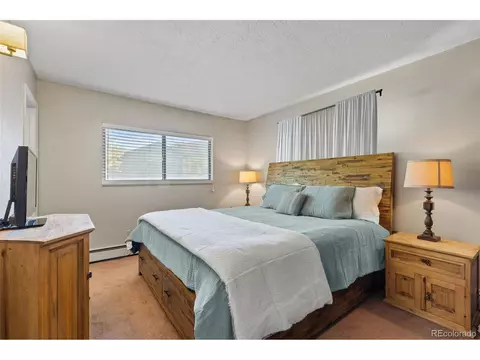 54 Beaver Ct, Dillon, CO 80435 photo 18