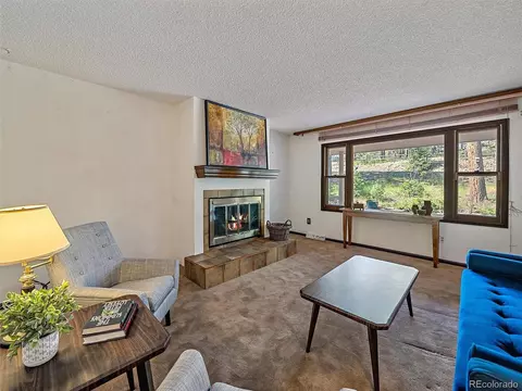 11052 Lindsey Rd, Conifer, CO 80433 photo 9