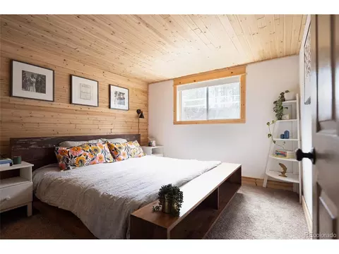 10001 Apache Spring Dr, Conifer, CO 80433 photo 17