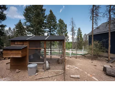 10001 Apache Spring Dr, Conifer, CO 80433 photo 22