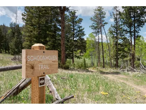 10001 Apache Spring Dr, Conifer, CO 80433 photo 30
