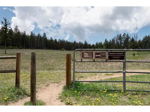 10001 Apache Spring Dr, Conifer, CO 80433 photo 29