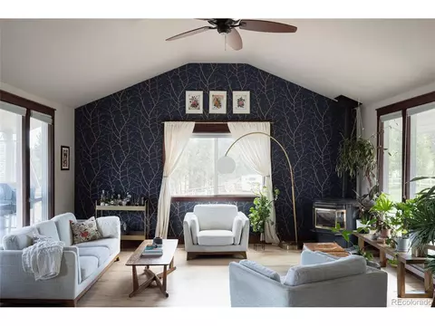 10001 Apache Spring Dr, Conifer, CO 80433 photo 4