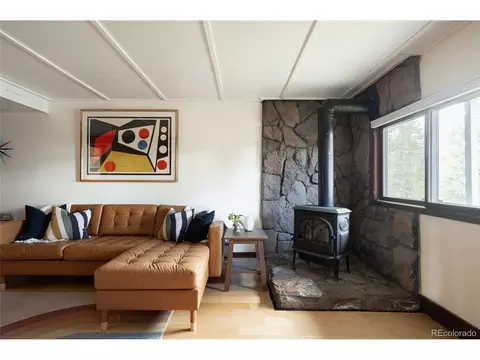 10001 Apache Spring Dr, Conifer, CO 80433 photo 19