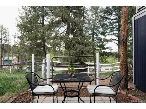 10001 Apache Spring Dr, Conifer, CO 80433 photo 21